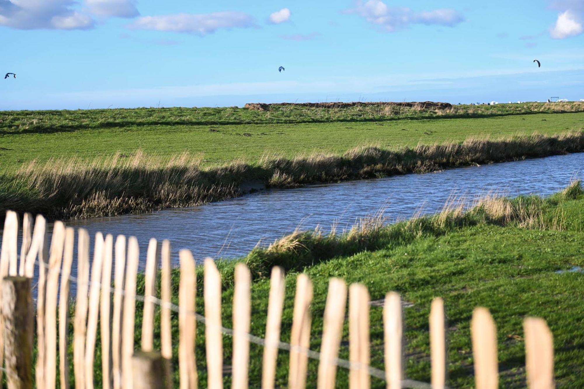 Tiny House Nature 14 Zur Meerseite - Green Tiny Village Harlesiel Carolinensiel Luaran gambar